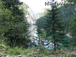 [P99]  -- <small>// FĂRĂ DESCRIERE</small> » foto by ionescunic
 - 
<span class="allrVoted glyphicon glyphicon-heart hidden" id="av345441"></span>
<a class="m-l-10 hidden" id="sv345441" onclick="voting_Foto_DelVot(,345441,4076)" role="button">șterge vot <span class="glyphicon glyphicon-remove"></span></a>
<a id="v9345441" class=" c-red"  onclick="voting_Foto_SetVot(345441)" role="button"><span class="glyphicon glyphicon-heart-empty"></span> <b>LIKE</b> = Votează poza</a> <img class="hidden"  id="f345441W9" src="/imagini/loader.gif" border="0" /><span class="AjErrMes hidden" id="e345441ErM"></span>