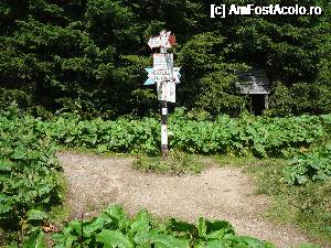 [P10] Intersecţia din Şaua Căpăţânii Porcului, în locul numit „Pichetul Roşu” » foto by Claudiu U.
 - 
<span class="allrVoted glyphicon glyphicon-heart hidden" id="av693807"></span>
<a class="m-l-10 hidden" id="sv693807" onclick="voting_Foto_DelVot(,693807,4076)" role="button">șterge vot <span class="glyphicon glyphicon-remove"></span></a>
<a id="v9693807" class=" c-red"  onclick="voting_Foto_SetVot(693807)" role="button"><span class="glyphicon glyphicon-heart-empty"></span> <b>LIKE</b> = Votează poza</a> <img class="hidden"  id="f693807W9" src="/imagini/loader.gif" border="0" /><span class="AjErrMes hidden" id="e693807ErM"></span>