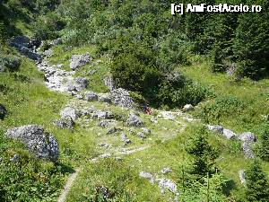[P11] Traversarea Văii Bucşoiului (se distinge foarte clar firul văii)  » foto by Claudiu U.
 - 
<span class="allrVoted glyphicon glyphicon-heart hidden" id="av693809"></span>
<a class="m-l-10 hidden" id="sv693809" onclick="voting_Foto_DelVot(,693809,4076)" role="button">șterge vot <span class="glyphicon glyphicon-remove"></span></a>
<a id="v9693809" class=" c-red"  onclick="voting_Foto_SetVot(693809)" role="button"><span class="glyphicon glyphicon-heart-empty"></span> <b>LIKE</b> = Votează poza</a> <img class="hidden"  id="f693809W9" src="/imagini/loader.gif" border="0" /><span class="AjErrMes hidden" id="e693809ErM"></span>