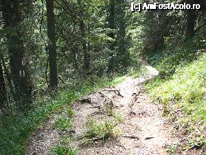 [P13] Pe traseul numit 'Tache Ionescu' » foto by Claudiu U.
 - 
<span class="allrVoted glyphicon glyphicon-heart hidden" id="av693815"></span>
<a class="m-l-10 hidden" id="sv693815" onclick="voting_Foto_DelVot(,693815,4076)" role="button">șterge vot <span class="glyphicon glyphicon-remove"></span></a>
<a id="v9693815" class=" c-red"  onclick="voting_Foto_SetVot(693815)" role="button"><span class="glyphicon glyphicon-heart-empty"></span> <b>LIKE</b> = Votează poza</a> <img class="hidden"  id="f693815W9" src="/imagini/loader.gif" border="0" /><span class="AjErrMes hidden" id="e693815ErM"></span>