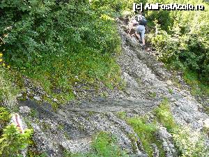 [P15] Prima traversare cu ajutorul cablurilor şi continuarea ascensiunii » foto by Claudiu U.
 - 
<span class="allrVoted glyphicon glyphicon-heart hidden" id="av693819"></span>
<a class="m-l-10 hidden" id="sv693819" onclick="voting_Foto_DelVot(,693819,4076)" role="button">șterge vot <span class="glyphicon glyphicon-remove"></span></a>
<a id="v9693819" class=" c-red"  onclick="voting_Foto_SetVot(693819)" role="button"><span class="glyphicon glyphicon-heart-empty"></span> <b>LIKE</b> = Votează poza</a> <img class="hidden"  id="f693819W9" src="/imagini/loader.gif" border="0" /><span class="AjErrMes hidden" id="e693819ErM"></span>