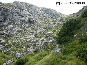 [P16] După traversarea brânei am ieşit în sfârşit în golul alpin » foto by Claudiu U.
 - 
<span class="allrVoted glyphicon glyphicon-heart hidden" id="av693822"></span>
<a class="m-l-10 hidden" id="sv693822" onclick="voting_Foto_DelVot(,693822,4076)" role="button">șterge vot <span class="glyphicon glyphicon-remove"></span></a>
<a id="v9693822" class=" c-red"  onclick="voting_Foto_SetVot(693822)" role="button"><span class="glyphicon glyphicon-heart-empty"></span> <b>LIKE</b> = Votează poza</a> <img class="hidden"  id="f693822W9" src="/imagini/loader.gif" border="0" /><span class="AjErrMes hidden" id="e693822ErM"></span>