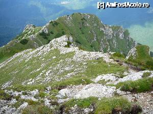 [P19] De pe Cununa Bucşoiului, aruncăm câte o privire înapoi (se vede bine poteca iar în dreapta, stâlpul indicator din locul unde am atins culmea)  » foto by Claudiu U.
 - 
<span class="allrVoted glyphicon glyphicon-heart hidden" id="av693831"></span>
<a class="m-l-10 hidden" id="sv693831" onclick="voting_Foto_DelVot(,693831,4076)" role="button">șterge vot <span class="glyphicon glyphicon-remove"></span></a>
<a id="v9693831" class=" c-red"  onclick="voting_Foto_SetVot(693831)" role="button"><span class="glyphicon glyphicon-heart-empty"></span> <b>LIKE</b> = Votează poza</a> <img class="hidden"  id="f693831W9" src="/imagini/loader.gif" border="0" /><span class="AjErrMes hidden" id="e693831ErM"></span>