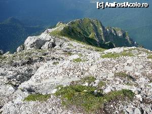 [P20] Şi am ajuns pe vârful pe care-l vedeam. Ce urmează?... » foto by Claudiu U.
 - 
<span class="allrVoted glyphicon glyphicon-heart hidden" id="av693836"></span>
<a class="m-l-10 hidden" id="sv693836" onclick="voting_Foto_DelVot(,693836,4076)" role="button">șterge vot <span class="glyphicon glyphicon-remove"></span></a>
<a id="v9693836" class=" c-red"  onclick="voting_Foto_SetVot(693836)" role="button"><span class="glyphicon glyphicon-heart-empty"></span> <b>LIKE</b> = Votează poza</a> <img class="hidden"  id="f693836W9" src="/imagini/loader.gif" border="0" /><span class="AjErrMes hidden" id="e693836ErM"></span>