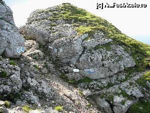 [P22] Între stânci, în şaua de unde se desprinde traseul ce străbate Brâna Caprelor » foto by Claudiu U.
 - 
<span class="allrVoted glyphicon glyphicon-heart hidden" id="av693840"></span>
<a class="m-l-10 hidden" id="sv693840" onclick="voting_Foto_DelVot(,693840,4076)" role="button">șterge vot <span class="glyphicon glyphicon-remove"></span></a>
<a id="v9693840" class=" c-red"  onclick="voting_Foto_SetVot(693840)" role="button"><span class="glyphicon glyphicon-heart-empty"></span> <b>LIKE</b> = Votează poza</a> <img class="hidden"  id="f693840W9" src="/imagini/loader.gif" border="0" /><span class="AjErrMes hidden" id="e693840ErM"></span>