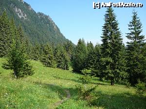 [P05] Am ajuns în Poiana Coştilei » foto by Claudiu U.
 - 
<span class="allrVoted glyphicon glyphicon-heart hidden" id="av693796"></span>
<a class="m-l-10 hidden" id="sv693796" onclick="voting_Foto_DelVot(,693796,4076)" role="button">șterge vot <span class="glyphicon glyphicon-remove"></span></a>
<a id="v9693796" class=" c-red"  onclick="voting_Foto_SetVot(693796)" role="button"><span class="glyphicon glyphicon-heart-empty"></span> <b>LIKE</b> = Votează poza</a> <img class="hidden"  id="f693796W9" src="/imagini/loader.gif" border="0" /><span class="AjErrMes hidden" id="e693796ErM"></span>