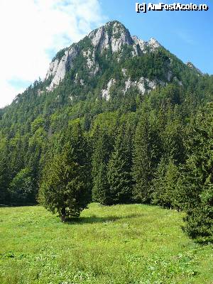 [P06] Muntele Coştila (o mică parte), văzut de la limita nordică a poienii » foto by Claudiu U.
 - 
<span class="allrVoted glyphicon glyphicon-heart hidden" id="av693797"></span>
<a class="m-l-10 hidden" id="sv693797" onclick="voting_Foto_DelVot(,693797,4076)" role="button">șterge vot <span class="glyphicon glyphicon-remove"></span></a>
<a id="v9693797" class=" c-red"  onclick="voting_Foto_SetVot(693797)" role="button"><span class="glyphicon glyphicon-heart-empty"></span> <b>LIKE</b> = Votează poza</a> <img class="hidden"  id="f693797W9" src="/imagini/loader.gif" border="0" /><span class="AjErrMes hidden" id="e693797ErM"></span>