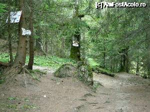 [P07] Intersecţia cu traseul marcat cu BG » foto by Claudiu U.
 - 
<span class="allrVoted glyphicon glyphicon-heart hidden" id="av693799"></span>
<a class="m-l-10 hidden" id="sv693799" onclick="voting_Foto_DelVot(,693799,4076)" role="button">șterge vot <span class="glyphicon glyphicon-remove"></span></a>
<a id="v9693799" class=" c-red"  onclick="voting_Foto_SetVot(693799)" role="button"><span class="glyphicon glyphicon-heart-empty"></span> <b>LIKE</b> = Votează poza</a> <img class="hidden"  id="f693799W9" src="/imagini/loader.gif" border="0" /><span class="AjErrMes hidden" id="e693799ErM"></span>