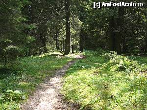 [P09] Am ajuns în poiana Morarului » foto by Claudiu U.
 - 
<span class="allrVoted glyphicon glyphicon-heart hidden" id="av693802"></span>
<a class="m-l-10 hidden" id="sv693802" onclick="voting_Foto_DelVot(,693802,4076)" role="button">șterge vot <span class="glyphicon glyphicon-remove"></span></a>
<a id="v9693802" class=" c-red"  onclick="voting_Foto_SetVot(693802)" role="button"><span class="glyphicon glyphicon-heart-empty"></span> <b>LIKE</b> = Votează poza</a> <img class="hidden"  id="f693802W9" src="/imagini/loader.gif" border="0" /><span class="AjErrMes hidden" id="e693802ErM"></span>