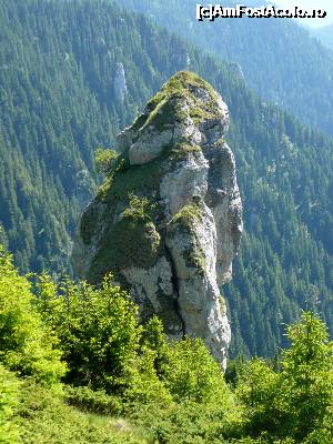 [P23] Turnul Clincii alias „Ţestosul ninja” :)  » foto by Claudiu U.
 - 
<span class="allrVoted glyphicon glyphicon-heart hidden" id="av697543"></span>
<a class="m-l-10 hidden" id="sv697543" onclick="voting_Foto_DelVot(,697543,4076)" role="button">șterge vot <span class="glyphicon glyphicon-remove"></span></a>
<a id="v9697543" class=" c-red"  onclick="voting_Foto_SetVot(697543)" role="button"><span class="glyphicon glyphicon-heart-empty"></span> <b>LIKE</b> = Votează poza</a> <img class="hidden"  id="f697543W9" src="/imagini/loader.gif" border="0" /><span class="AjErrMes hidden" id="e697543ErM"></span>