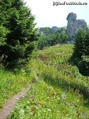 [P24] Poiana Zănoaga şi turnul stâncos ce-o străjuieşte » foto by Claudiu U.
 - 
<span class="allrVoted glyphicon glyphicon-heart hidden" id="av697544"></span>
<a class="m-l-10 hidden" id="sv697544" onclick="voting_Foto_DelVot(,697544,4076)" role="button">șterge vot <span class="glyphicon glyphicon-remove"></span></a>
<a id="v9697544" class=" c-red"  onclick="voting_Foto_SetVot(697544)" role="button"><span class="glyphicon glyphicon-heart-empty"></span> <b>LIKE</b> = Votează poza</a> <img class="hidden"  id="f697544W9" src="/imagini/loader.gif" border="0" /><span class="AjErrMes hidden" id="e697544ErM"></span>