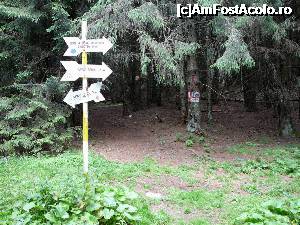 [P26] Ieşirea din pădure în Poiana Pănicerului » foto by Claudiu U.
 - 
<span class="allrVoted glyphicon glyphicon-heart hidden" id="av697546"></span>
<a class="m-l-10 hidden" id="sv697546" onclick="voting_Foto_DelVot(,697546,4076)" role="button">șterge vot <span class="glyphicon glyphicon-remove"></span></a>
<a id="v9697546" class=" c-red"  onclick="voting_Foto_SetVot(697546)" role="button"><span class="glyphicon glyphicon-heart-empty"></span> <b>LIKE</b> = Votează poza</a> <img class="hidden"  id="f697546W9" src="/imagini/loader.gif" border="0" /><span class="AjErrMes hidden" id="e697546ErM"></span>