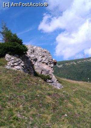 [P14] Nasosul. » foto by senateo
 - 
<span class="allrVoted glyphicon glyphicon-heart hidden" id="av1160965"></span>
<a class="m-l-10 hidden" id="sv1160965" onclick="voting_Foto_DelVot(,1160965,4076)" role="button">șterge vot <span class="glyphicon glyphicon-remove"></span></a>
<a id="v91160965" class=" c-red"  onclick="voting_Foto_SetVot(1160965)" role="button"><span class="glyphicon glyphicon-heart-empty"></span> <b>LIKE</b> = Votează poza</a> <img class="hidden"  id="f1160965W9" src="/imagini/loader.gif" border="0" /><span class="AjErrMes hidden" id="e1160965ErM"></span>