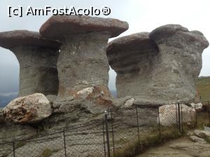 [P25] Babele cu palariile lor plate sudate de trunchi. » foto by senateo
 - 
<span class="allrVoted glyphicon glyphicon-heart hidden" id="av1160976"></span>
<a class="m-l-10 hidden" id="sv1160976" onclick="voting_Foto_DelVot(,1160976,4076)" role="button">șterge vot <span class="glyphicon glyphicon-remove"></span></a>
<a id="v91160976" class=" c-red"  onclick="voting_Foto_SetVot(1160976)" role="button"><span class="glyphicon glyphicon-heart-empty"></span> <b>LIKE</b> = Votează poza</a> <img class="hidden"  id="f1160976W9" src="/imagini/loader.gif" border="0" /><span class="AjErrMes hidden" id="e1160976ErM"></span>