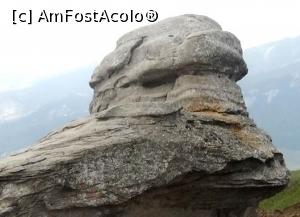 [P04] E un reptilian sus sau la baza? Sau e un barbos la mijloc? Care e mai aratos? » foto by senateo
 - 
<span class="allrVoted glyphicon glyphicon-heart hidden" id="av1160955"></span>
<a class="m-l-10 hidden" id="sv1160955" onclick="voting_Foto_DelVot(,1160955,4076)" role="button">șterge vot <span class="glyphicon glyphicon-remove"></span></a>
<a id="v91160955" class=" c-red"  onclick="voting_Foto_SetVot(1160955)" role="button"><span class="glyphicon glyphicon-heart-empty"></span> <b>LIKE</b> = Votează poza</a> <img class="hidden"  id="f1160955W9" src="/imagini/loader.gif" border="0" /><span class="AjErrMes hidden" id="e1160955ErM"></span>