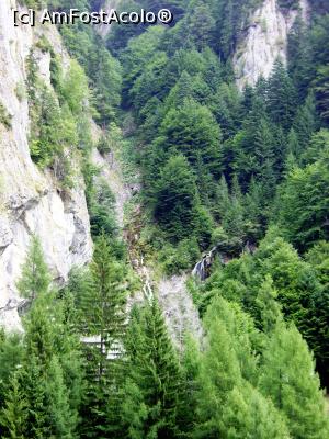 [P03] Cascadele de pe Valea Spumoasa » foto by Testosu'
 - 
<span class="allrVoted glyphicon glyphicon-heart hidden" id="av835045"></span>
<a class="m-l-10 hidden" id="sv835045" onclick="voting_Foto_DelVot(,835045,4076)" role="button">șterge vot <span class="glyphicon glyphicon-remove"></span></a>
<a id="v9835045" class=" c-red"  onclick="voting_Foto_SetVot(835045)" role="button"><span class="glyphicon glyphicon-heart-empty"></span> <b>LIKE</b> = Votează poza</a> <img class="hidden"  id="f835045W9" src="/imagini/loader.gif" border="0" /><span class="AjErrMes hidden" id="e835045ErM"></span>