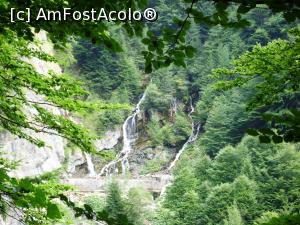 [P05] Cascadele de pe Valea Spumoasa » foto by Testosu'
 - 
<span class="allrVoted glyphicon glyphicon-heart hidden" id="av835047"></span>
<a class="m-l-10 hidden" id="sv835047" onclick="voting_Foto_DelVot(,835047,4076)" role="button">șterge vot <span class="glyphicon glyphicon-remove"></span></a>
<a id="v9835047" class=" c-red"  onclick="voting_Foto_SetVot(835047)" role="button"><span class="glyphicon glyphicon-heart-empty"></span> <b>LIKE</b> = Votează poza</a> <img class="hidden"  id="f835047W9" src="/imagini/loader.gif" border="0" /><span class="AjErrMes hidden" id="e835047ErM"></span>