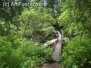 [P22] Am ajuns la al doilea podeţ din chei. Vom traversa pe malul celălalt.  » foto by Floryn81
 - 
<span class="allrVoted glyphicon glyphicon-heart hidden" id="av869571"></span>
<a class="m-l-10 hidden" id="sv869571" onclick="voting_Foto_DelVot(,869571,4076)" role="button">șterge vot <span class="glyphicon glyphicon-remove"></span></a>
<a id="v9869571" class=" c-red"  onclick="voting_Foto_SetVot(869571)" role="button"><span class="glyphicon glyphicon-heart-empty"></span> <b>LIKE</b> = Votează poza</a> <img class="hidden"  id="f869571W9" src="/imagini/loader.gif" border="0" /><span class="AjErrMes hidden" id="e869571ErM"></span>