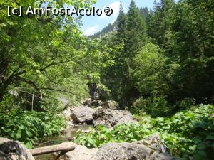 [P26] Cheile Zănoagei - sălbăticia la ea acasă. » foto by Floryn81
 - 
<span class="allrVoted glyphicon glyphicon-heart hidden" id="av869575"></span>
<a class="m-l-10 hidden" id="sv869575" onclick="voting_Foto_DelVot(,869575,4076)" role="button">șterge vot <span class="glyphicon glyphicon-remove"></span></a>
<a id="v9869575" class=" c-red"  onclick="voting_Foto_SetVot(869575)" role="button"><span class="glyphicon glyphicon-heart-empty"></span> <b>LIKE</b> = Votează poza</a> <img class="hidden"  id="f869575W9" src="/imagini/loader.gif" border="0" /><span class="AjErrMes hidden" id="e869575ErM"></span>