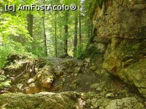 [P33] Poteca urcă şi coboară printre stânci.  » foto by Floryn81
 - 
<span class="allrVoted glyphicon glyphicon-heart hidden" id="av869582"></span>
<a class="m-l-10 hidden" id="sv869582" onclick="voting_Foto_DelVot(,869582,4076)" role="button">șterge vot <span class="glyphicon glyphicon-remove"></span></a>
<a id="v9869582" class=" c-red"  onclick="voting_Foto_SetVot(869582)" role="button"><span class="glyphicon glyphicon-heart-empty"></span> <b>LIKE</b> = Votează poza</a> <img class="hidden"  id="f869582W9" src="/imagini/loader.gif" border="0" /><span class="AjErrMes hidden" id="e869582ErM"></span>