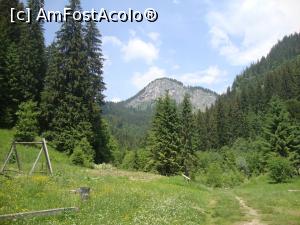 [P49] Din nou la drum prin Cheile Zănoagei.  » foto by Floryn81
 - 
<span class="allrVoted glyphicon glyphicon-heart hidden" id="av869598"></span>
<a class="m-l-10 hidden" id="sv869598" onclick="voting_Foto_DelVot(,869598,4076)" role="button">șterge vot <span class="glyphicon glyphicon-remove"></span></a>
<a id="v9869598" class=" c-red"  onclick="voting_Foto_SetVot(869598)" role="button"><span class="glyphicon glyphicon-heart-empty"></span> <b>LIKE</b> = Votează poza</a> <img class="hidden"  id="f869598W9" src="/imagini/loader.gif" border="0" /><span class="AjErrMes hidden" id="e869598ErM"></span>