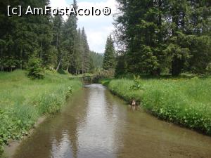 [P54] În câteva minute vom ajunge la Campingul Zănoaga, locul de unde am pornit în drumeţie.  » foto by Floryn81
 - 
<span class="allrVoted glyphicon glyphicon-heart hidden" id="av869603"></span>
<a class="m-l-10 hidden" id="sv869603" onclick="voting_Foto_DelVot(,869603,4076)" role="button">șterge vot <span class="glyphicon glyphicon-remove"></span></a>
<a id="v9869603" class=" c-red"  onclick="voting_Foto_SetVot(869603)" role="button"><span class="glyphicon glyphicon-heart-empty"></span> <b>LIKE</b> = Votează poza</a> <img class="hidden"  id="f869603W9" src="/imagini/loader.gif" border="0" /><span class="AjErrMes hidden" id="e869603ErM"></span>