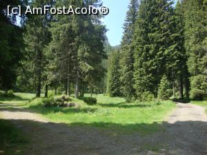 [P06] Avansăm pe potecă spre intrarea în sectorul cheilor.  » foto by Floryn81
 - 
<span class="allrVoted glyphicon glyphicon-heart hidden" id="av869555"></span>
<a class="m-l-10 hidden" id="sv869555" onclick="voting_Foto_DelVot(,869555,4076)" role="button">șterge vot <span class="glyphicon glyphicon-remove"></span></a>
<a id="v9869555" class=" c-red"  onclick="voting_Foto_SetVot(869555)" role="button"><span class="glyphicon glyphicon-heart-empty"></span> <b>LIKE</b> = Votează poza</a> <img class="hidden"  id="f869555W9" src="/imagini/loader.gif" border="0" /><span class="AjErrMes hidden" id="e869555ErM"></span>