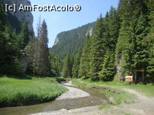 [P08] Am ajuns la intrarea în Rezervaţia Naturală Zănoaga-Lucăcilă. Din acest punct, poteca începe să se îngusteze.  » foto by Floryn81
 - 
<span class="allrVoted glyphicon glyphicon-heart hidden" id="av869557"></span>
<a class="m-l-10 hidden" id="sv869557" onclick="voting_Foto_DelVot(,869557,4076)" role="button">șterge vot <span class="glyphicon glyphicon-remove"></span></a>
<a id="v9869557" class=" c-red"  onclick="voting_Foto_SetVot(869557)" role="button"><span class="glyphicon glyphicon-heart-empty"></span> <b>LIKE</b> = Votează poza</a> <img class="hidden"  id="f869557W9" src="/imagini/loader.gif" border="0" /><span class="AjErrMes hidden" id="e869557ErM"></span>