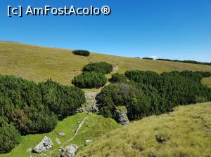[P46] Am depășit cu bine această vale secată, porțiunea mai dificilă a traseului nemarcat de întoarcere la cabana Piatra Arsă.  » foto by Floryn81
 - 
<span class="allrVoted glyphicon glyphicon-heart hidden" id="av1027389"></span>
<a class="m-l-10 hidden" id="sv1027389" onclick="voting_Foto_DelVot(,1027389,4076)" role="button">șterge vot <span class="glyphicon glyphicon-remove"></span></a>
<a id="v91027389" class=" c-red"  onclick="voting_Foto_SetVot(1027389)" role="button"><span class="glyphicon glyphicon-heart-empty"></span> <b>LIKE</b> = Votează poza</a> <img class="hidden"  id="f1027389W9" src="/imagini/loader.gif" border="0" /><span class="AjErrMes hidden" id="e1027389ErM"></span>