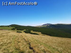 [P48] Tot mai aproape de intrarea în jnepeniș.  » foto by Floryn81
 - 
<span class="allrVoted glyphicon glyphicon-heart hidden" id="av1027391"></span>
<a class="m-l-10 hidden" id="sv1027391" onclick="voting_Foto_DelVot(,1027391,4076)" role="button">șterge vot <span class="glyphicon glyphicon-remove"></span></a>
<a id="v91027391" class=" c-red"  onclick="voting_Foto_SetVot(1027391)" role="button"><span class="glyphicon glyphicon-heart-empty"></span> <b>LIKE</b> = Votează poza</a> <img class="hidden"  id="f1027391W9" src="/imagini/loader.gif" border="0" /><span class="AjErrMes hidden" id="e1027391ErM"></span>