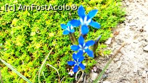 [P02]  -- <small>// FĂRĂ DESCRIERE</small> » foto by noi doi
 - 
<span class="allrVoted glyphicon glyphicon-heart hidden" id="av772617"></span>
<a class="m-l-10 hidden" id="sv772617" onclick="voting_Foto_DelVot(,772617,4076)" role="button">șterge vot <span class="glyphicon glyphicon-remove"></span></a>
<a id="v9772617" class=" c-red"  onclick="voting_Foto_SetVot(772617)" role="button"><span class="glyphicon glyphicon-heart-empty"></span> <b>LIKE</b> = Votează poza</a> <img class="hidden"  id="f772617W9" src="/imagini/loader.gif" border="0" /><span class="AjErrMes hidden" id="e772617ErM"></span>