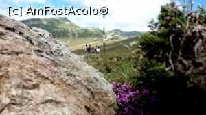 [P03]  -- <small>// FĂRĂ DESCRIERE</small> » foto by noi doi
 - 
<span class="allrVoted glyphicon glyphicon-heart hidden" id="av772618"></span>
<a class="m-l-10 hidden" id="sv772618" onclick="voting_Foto_DelVot(,772618,4076)" role="button">șterge vot <span class="glyphicon glyphicon-remove"></span></a>
<a id="v9772618" class=" c-red"  onclick="voting_Foto_SetVot(772618)" role="button"><span class="glyphicon glyphicon-heart-empty"></span> <b>LIKE</b> = Votează poza</a> <img class="hidden"  id="f772618W9" src="/imagini/loader.gif" border="0" /><span class="AjErrMes hidden" id="e772618ErM"></span>