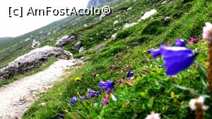 [P05] Clopotei » foto by noi doi
 - 
<span class="allrVoted glyphicon glyphicon-heart hidden" id="av772620"></span>
<a class="m-l-10 hidden" id="sv772620" onclick="voting_Foto_DelVot(,772620,4076)" role="button">șterge vot <span class="glyphicon glyphicon-remove"></span></a>
<a id="v9772620" class=" c-red"  onclick="voting_Foto_SetVot(772620)" role="button"><span class="glyphicon glyphicon-heart-empty"></span> <b>LIKE</b> = Votează poza</a> <img class="hidden"  id="f772620W9" src="/imagini/loader.gif" border="0" /><span class="AjErrMes hidden" id="e772620ErM"></span>