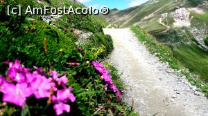 [P06] Si garofite » foto by noi doi
 - 
<span class="allrVoted glyphicon glyphicon-heart hidden" id="av772621"></span>
<a class="m-l-10 hidden" id="sv772621" onclick="voting_Foto_DelVot(,772621,4076)" role="button">șterge vot <span class="glyphicon glyphicon-remove"></span></a>
<a id="v9772621" class=" c-red"  onclick="voting_Foto_SetVot(772621)" role="button"><span class="glyphicon glyphicon-heart-empty"></span> <b>LIKE</b> = Votează poza</a> <img class="hidden"  id="f772621W9" src="/imagini/loader.gif" border="0" /><span class="AjErrMes hidden" id="e772621ErM"></span>