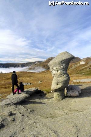 [P16] Babă miculuță » foto by Dragoș_MD
 - 
<span class="allrVoted glyphicon glyphicon-heart hidden" id="av695470"></span>
<a class="m-l-10 hidden" id="sv695470" onclick="voting_Foto_DelVot(,695470,4076)" role="button">șterge vot <span class="glyphicon glyphicon-remove"></span></a>
<a id="v9695470" class=" c-red"  onclick="voting_Foto_SetVot(695470)" role="button"><span class="glyphicon glyphicon-heart-empty"></span> <b>LIKE</b> = Votează poza</a> <img class="hidden"  id="f695470W9" src="/imagini/loader.gif" border="0" /><span class="AjErrMes hidden" id="e695470ErM"></span>