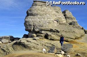 [P17] Sfinxul (nu io!) și Lord » foto by Dragoș_MD
 - 
<span class="allrVoted glyphicon glyphicon-heart hidden" id="av695471"></span>
<a class="m-l-10 hidden" id="sv695471" onclick="voting_Foto_DelVot(,695471,4076)" role="button">șterge vot <span class="glyphicon glyphicon-remove"></span></a>
<a id="v9695471" class=" c-red"  onclick="voting_Foto_SetVot(695471)" role="button"><span class="glyphicon glyphicon-heart-empty"></span> <b>LIKE</b> = Votează poza</a> <img class="hidden"  id="f695471W9" src="/imagini/loader.gif" border="0" /><span class="AjErrMes hidden" id="e695471ErM"></span>