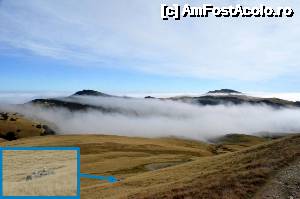 [P28] Privind peste platoul unde e Piatra Arsă, spre Vârful Furnica » foto by Dragoș_MD
 - 
<span class="allrVoted glyphicon glyphicon-heart hidden" id="av695482"></span>
<a class="m-l-10 hidden" id="sv695482" onclick="voting_Foto_DelVot(,695482,4076)" role="button">șterge vot <span class="glyphicon glyphicon-remove"></span></a>
<a id="v9695482" class=" c-red"  onclick="voting_Foto_SetVot(695482)" role="button"><span class="glyphicon glyphicon-heart-empty"></span> <b>LIKE</b> = Votează poza</a> <img class="hidden"  id="f695482W9" src="/imagini/loader.gif" border="0" /><span class="AjErrMes hidden" id="e695482ErM"></span>