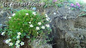 [P06] Floricele pe câmpii, nu le mai rupeți, copii!!  » foto by Dragoș_MD
 - 
<span class="allrVoted glyphicon glyphicon-heart hidden" id="av997162"></span>
<a class="m-l-10 hidden" id="sv997162" onclick="voting_Foto_DelVot(,997162,4076)" role="button">șterge vot <span class="glyphicon glyphicon-remove"></span></a>
<a id="v9997162" class=" c-red"  onclick="voting_Foto_SetVot(997162)" role="button"><span class="glyphicon glyphicon-heart-empty"></span> <b>LIKE</b> = Votează poza</a> <img class="hidden"  id="f997162W9" src="/imagini/loader.gif" border="0" /><span class="AjErrMes hidden" id="e997162ErM"></span>