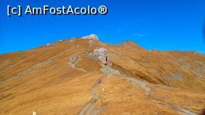 [P19] Coștila - Vf. Omu (bandă galbenă) - Vf. Ocolit, Bucura și Omu » foto by Dragoș_MD
 - 
<span class="allrVoted glyphicon glyphicon-heart hidden" id="av1121858"></span>
<a class="m-l-10 hidden" id="sv1121858" onclick="voting_Foto_DelVot(,1121858,4076)" role="button">șterge vot <span class="glyphicon glyphicon-remove"></span></a>
<a id="v91121858" class=" c-red"  onclick="voting_Foto_SetVot(1121858)" role="button"><span class="glyphicon glyphicon-heart-empty"></span> <b>LIKE</b> = Votează poza</a> <img class="hidden"  id="f1121858W9" src="/imagini/loader.gif" border="0" /><span class="AjErrMes hidden" id="e1121858ErM"></span>