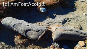 [P02] Coștila - Vf. Omu (cruce roșie) - chiar și poteca ne dezvăluie stânci cu forme ciudate » foto by Dragoș_MD
 - 
<span class="allrVoted glyphicon glyphicon-heart hidden" id="av1121811"></span>
<a class="m-l-10 hidden" id="sv1121811" onclick="voting_Foto_DelVot(,1121811,4076)" role="button">șterge vot <span class="glyphicon glyphicon-remove"></span></a>
<a id="v91121811" class=" c-red"  onclick="voting_Foto_SetVot(1121811)" role="button"><span class="glyphicon glyphicon-heart-empty"></span> <b>LIKE</b> = Votează poza</a> <img class="hidden"  id="f1121811W9" src="/imagini/loader.gif" border="0" /><span class="AjErrMes hidden" id="e1121811ErM"></span>