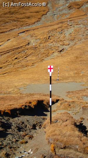 [P05] Coștila - Vf. Omu (cruce roșie) - unirea cu drumul dinspre Cabana Babele (bandă galbenă)  » foto by Dragoș_MD
 - 
<span class="allrVoted glyphicon glyphicon-heart hidden" id="av1121814"></span>
<a class="m-l-10 hidden" id="sv1121814" onclick="voting_Foto_DelVot(,1121814,4076)" role="button">șterge vot <span class="glyphicon glyphicon-remove"></span></a>
<a id="v91121814" class=" c-red"  onclick="voting_Foto_SetVot(1121814)" role="button"><span class="glyphicon glyphicon-heart-empty"></span> <b>LIKE</b> = Votează poza</a> <img class="hidden"  id="f1121814W9" src="/imagini/loader.gif" border="0" /><span class="AjErrMes hidden" id="e1121814ErM"></span>