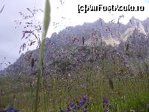 [P01] Coborand spre Malaiesti » foto by alisaL*
 - 
<span class="allrVoted glyphicon glyphicon-heart hidden" id="av449792"></span>
<a class="m-l-10 hidden" id="sv449792" onclick="voting_Foto_DelVot(,449792,4076)" role="button">șterge vot <span class="glyphicon glyphicon-remove"></span></a>
<a id="v9449792" class=" c-red"  onclick="voting_Foto_SetVot(449792)" role="button"><span class="glyphicon glyphicon-heart-empty"></span> <b>LIKE</b> = Votează poza</a> <img class="hidden"  id="f449792W9" src="/imagini/loader.gif" border="0" /><span class="AjErrMes hidden" id="e449792ErM"></span>