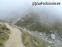 [P14] nori se aduna pe capul nostru, parul arata ca ar fi alba » foto by ildike79
 - 
<span class="allrVoted glyphicon glyphicon-heart hidden" id="av400033"></span>
<a class="m-l-10 hidden" id="sv400033" onclick="voting_Foto_DelVot(,400033,4076)" role="button">șterge vot <span class="glyphicon glyphicon-remove"></span></a>
<a id="v9400033" class=" c-red"  onclick="voting_Foto_SetVot(400033)" role="button"><span class="glyphicon glyphicon-heart-empty"></span> <b>LIKE</b> = Votează poza</a> <img class="hidden"  id="f400033W9" src="/imagini/loader.gif" border="0" /><span class="AjErrMes hidden" id="e400033ErM"></span>