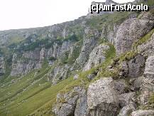 [P17] roci » foto by Romania4EVER
 - 
<span class="allrVoted glyphicon glyphicon-heart hidden" id="av258163"></span>
<a class="m-l-10 hidden" id="sv258163" onclick="voting_Foto_DelVot(,258163,4076)" role="button">șterge vot <span class="glyphicon glyphicon-remove"></span></a>
<a id="v9258163" class=" c-red"  onclick="voting_Foto_SetVot(258163)" role="button"><span class="glyphicon glyphicon-heart-empty"></span> <b>LIKE</b> = Votează poza</a> <img class="hidden"  id="f258163W9" src="/imagini/loader.gif" border="0" /><span class="AjErrMes hidden" id="e258163ErM"></span>