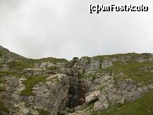 [P18]  -- <small>// FĂRĂ DESCRIERE</small> » foto by Romania4EVER
 - 
<span class="allrVoted glyphicon glyphicon-heart hidden" id="av258164"></span>
<a class="m-l-10 hidden" id="sv258164" onclick="voting_Foto_DelVot(,258164,4076)" role="button">șterge vot <span class="glyphicon glyphicon-remove"></span></a>
<a id="v9258164" class=" c-red"  onclick="voting_Foto_SetVot(258164)" role="button"><span class="glyphicon glyphicon-heart-empty"></span> <b>LIKE</b> = Votează poza</a> <img class="hidden"  id="f258164W9" src="/imagini/loader.gif" border="0" /><span class="AjErrMes hidden" id="e258164ErM"></span>