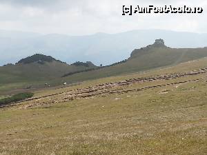 [P08]  -- <small>// FĂRĂ DESCRIERE</small> » foto by rita
 - 
<span class="allrVoted glyphicon glyphicon-heart hidden" id="av356156"></span>
<a class="m-l-10 hidden" id="sv356156" onclick="voting_Foto_DelVot(,356156,4076)" role="button">șterge vot <span class="glyphicon glyphicon-remove"></span></a>
<a id="v9356156" class=" c-red"  onclick="voting_Foto_SetVot(356156)" role="button"><span class="glyphicon glyphicon-heart-empty"></span> <b>LIKE</b> = Votează poza</a> <img class="hidden"  id="f356156W9" src="/imagini/loader.gif" border="0" /><span class="AjErrMes hidden" id="e356156ErM"></span>