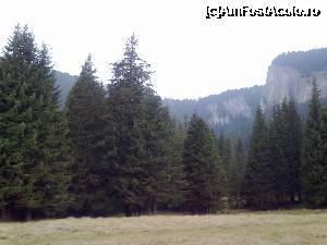 [P10] platoul Padina » foto by rita
 - 
<span class="allrVoted glyphicon glyphicon-heart hidden" id="av355649"></span>
<a class="m-l-10 hidden" id="sv355649" onclick="voting_Foto_DelVot(,355649,4076)" role="button">șterge vot <span class="glyphicon glyphicon-remove"></span></a>
<a id="v9355649" class=" c-red"  onclick="voting_Foto_SetVot(355649)" role="button"><span class="glyphicon glyphicon-heart-empty"></span> <b>LIKE</b> = Votează poza</a> <img class="hidden"  id="f355649W9" src="/imagini/loader.gif" border="0" /><span class="AjErrMes hidden" id="e355649ErM"></span>