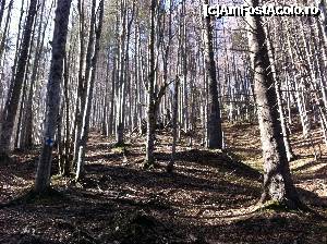 [P25]  -- <small>// FĂRĂ DESCRIERE</small> » foto by rita
 - 
<span class="allrVoted glyphicon glyphicon-heart hidden" id="av355674"></span>
<a class="m-l-10 hidden" id="sv355674" onclick="voting_Foto_DelVot(,355674,4076)" role="button">șterge vot <span class="glyphicon glyphicon-remove"></span></a>
<a id="v9355674" class=" c-red"  onclick="voting_Foto_SetVot(355674)" role="button"><span class="glyphicon glyphicon-heart-empty"></span> <b>LIKE</b> = Votează poza</a> <img class="hidden"  id="f355674W9" src="/imagini/loader.gif" border="0" /><span class="AjErrMes hidden" id="e355674ErM"></span>