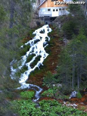 [P26]  -- <small>// FĂRĂ DESCRIERE</small> » foto by rita
 - 
<span class="allrVoted glyphicon glyphicon-heart hidden" id="av355675"></span>
<a class="m-l-10 hidden" id="sv355675" onclick="voting_Foto_DelVot(,355675,4076)" role="button">șterge vot <span class="glyphicon glyphicon-remove"></span></a>
<a id="v9355675" class=" c-red"  onclick="voting_Foto_SetVot(355675)" role="button"><span class="glyphicon glyphicon-heart-empty"></span> <b>LIKE</b> = Votează poza</a> <img class="hidden"  id="f355675W9" src="/imagini/loader.gif" border="0" /><span class="AjErrMes hidden" id="e355675ErM"></span>