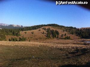 [P27]  -- <small>// FĂRĂ DESCRIERE</small> » foto by rita
 - 
<span class="allrVoted glyphicon glyphicon-heart hidden" id="av355676"></span>
<a class="m-l-10 hidden" id="sv355676" onclick="voting_Foto_DelVot(,355676,4076)" role="button">șterge vot <span class="glyphicon glyphicon-remove"></span></a>
<a id="v9355676" class=" c-red"  onclick="voting_Foto_SetVot(355676)" role="button"><span class="glyphicon glyphicon-heart-empty"></span> <b>LIKE</b> = Votează poza</a> <img class="hidden"  id="f355676W9" src="/imagini/loader.gif" border="0" /><span class="AjErrMes hidden" id="e355676ErM"></span>